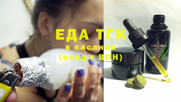 spice Инта