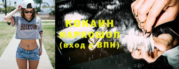 ешки Арсеньев